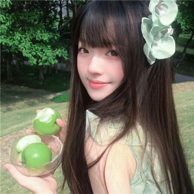 安邦定国志